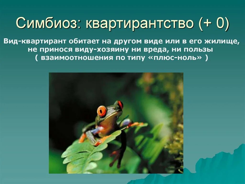 Положительные стороны симбиоза. Симбиоз. Симбиоз комменсализм. Симбиоз презентация. Симбиоз это кратко.