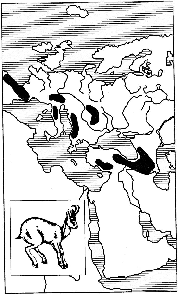 Арктоальпийский ареал. Серна ареал обитания. Ареал обитания горного козла. Определить Тип дизъюнктивного ареала серны.