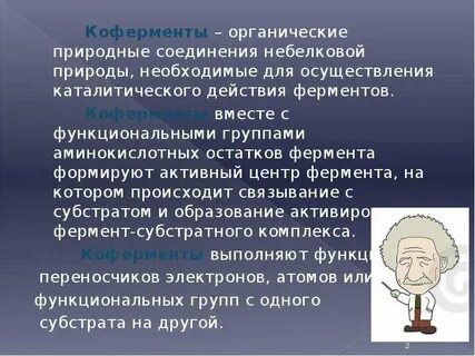 Какую роль в составе фермента играют коферменты