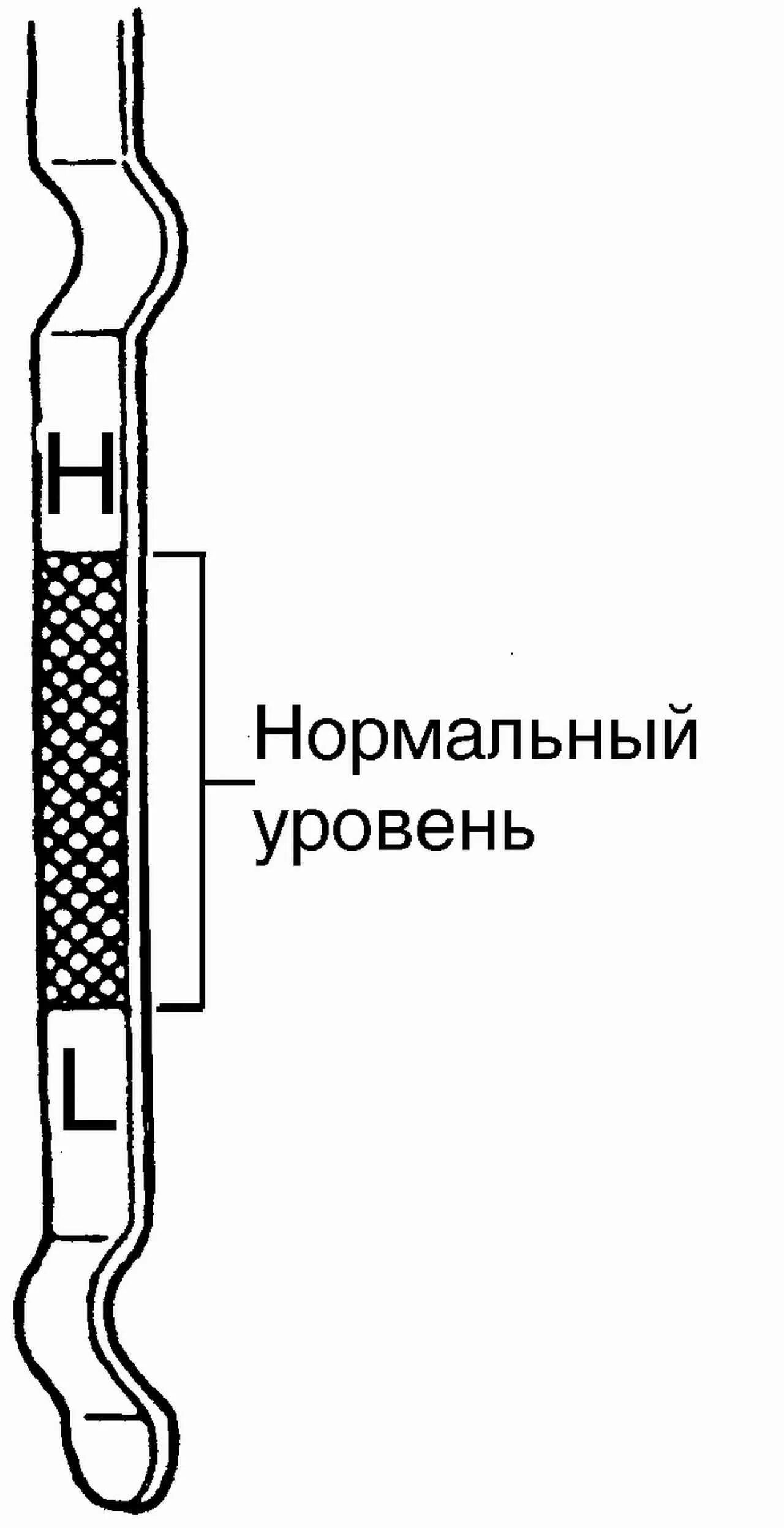 Про уровень масла. Проверка уровня масла на щупе. Щуп для проверки масла в двигателе. Щуп проверяет уровень масла. Уровень масла на Паджеро спорт 2 на щупе.