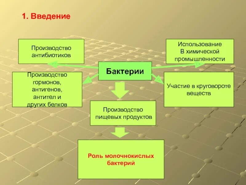 Бактерии введение. Введение бактерий. Питание бактерий ауксотрофы. Бактерии заключение. Бактерии введение.