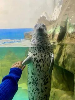 Казанский океанариум