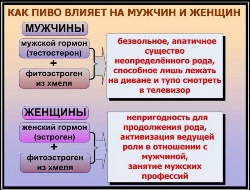 Чем опасно пиво. Как пиво влияет на организм женщины. Как пиво влияет на женщин. Как влияет пиво на мужчин и женщин.