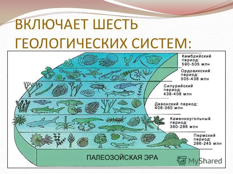 третий период палеозоя 5 букв. эпохи кайнозоя таблица. третий период палеозоя 5 букв. третий период палеозоя 5 букв. палеозой эон.
