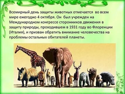 Всемирный день животных занятие