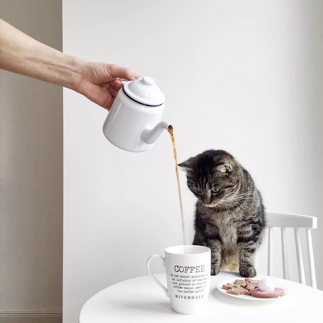 Доброе утро среды котики. Кот и кофе. утро кофе кот. котик с чашкой кофе. доброе утро кофе кошка.