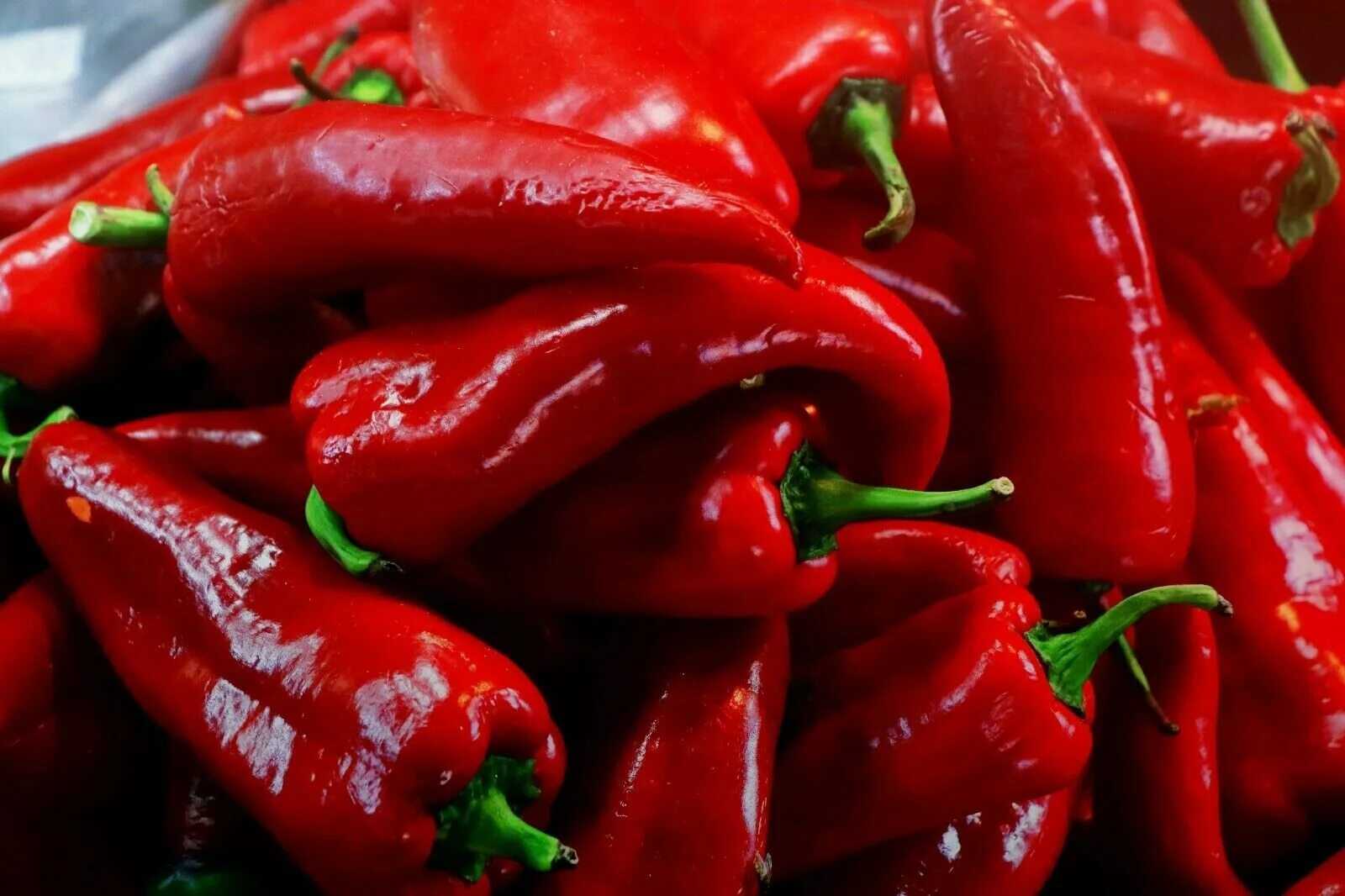 Chilli pepper. Перец Sivri biber. Горький перец кайенский острый. Пепперони перец острый. Перец Горький Чили.