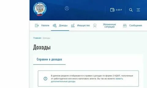 Почему налоги не отображаются на госуслугах