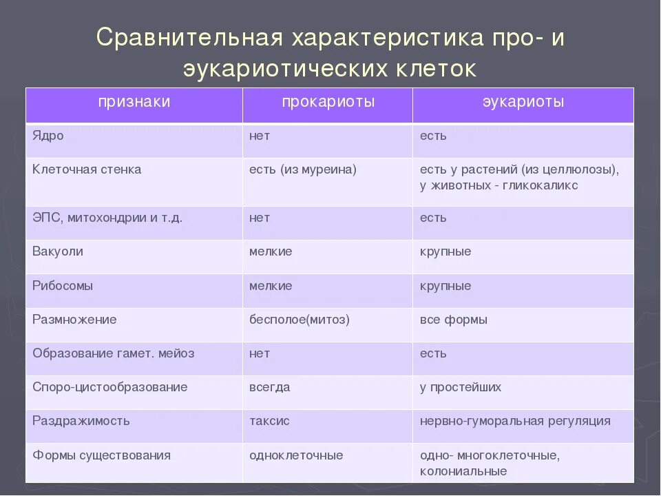 Прокариотическая клетка и эукариотическая клетка сравнение таблица. Строение прокариот и эукариот таблица. Отличия прокариот и эукариот таблица. Строение прокариотических клеток и эукариотических таблица.