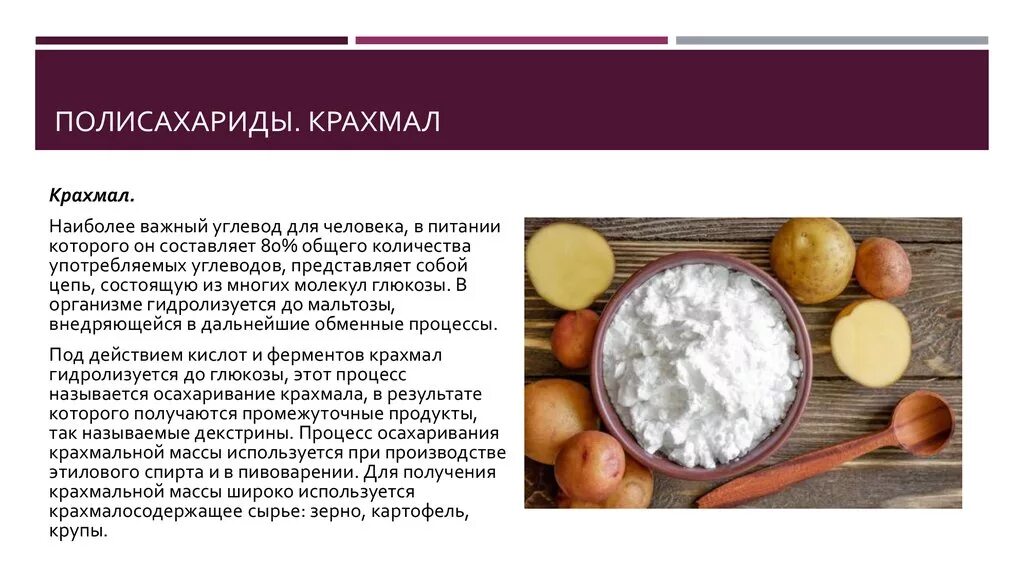 Полисахариды крахмал. Полисахариды примеры. Продукты с крахмалом. Роль крахмала в питании человека.