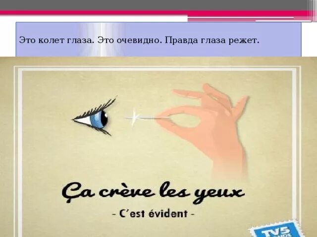 Что означает колоть. Правда глаза колет. Правда глаза колет значение пословицы. Пословица правда глаза. Открытки правда глаза колет.