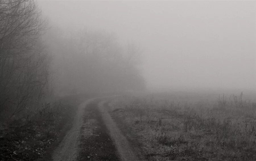 Сумы с пеленой. Пелена тумана. Слепой туман. Военный в тумане. Пелена фото.