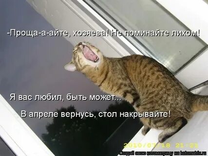 Тут нельзя не упомянуть