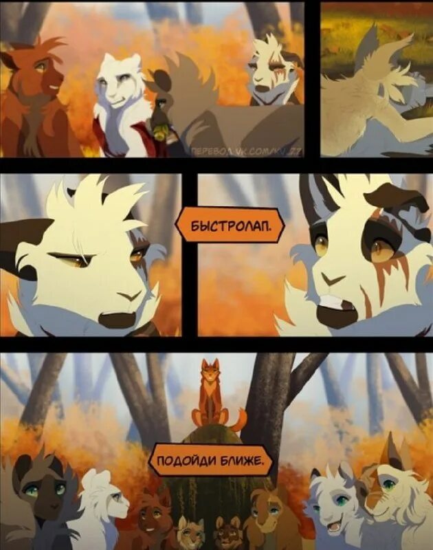 Шанс быстролапа коты воители комикс. Комикс коты воители выбор ярохвоста. Шанс быстрокрыла коты воители. Шанс быстрокрыла коты воители. Чернокровый альянс волк.