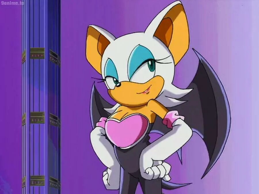 Летучая мышь руж. Руж sonic heroes. История руж. История руж. Руж из соника икс.