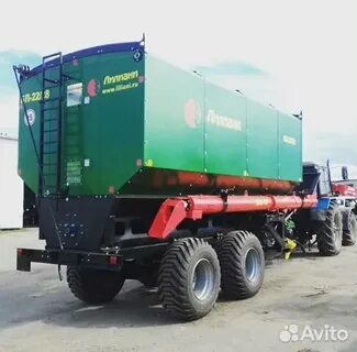 Лилиани