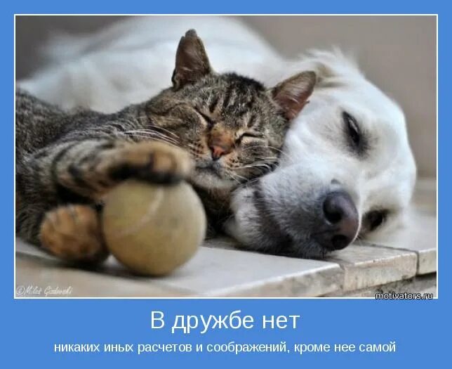 кроме нее. красивые цитаты про жизнь. кроме ее самой. любовь и смерть найдут тебя сами. умные высказывания.