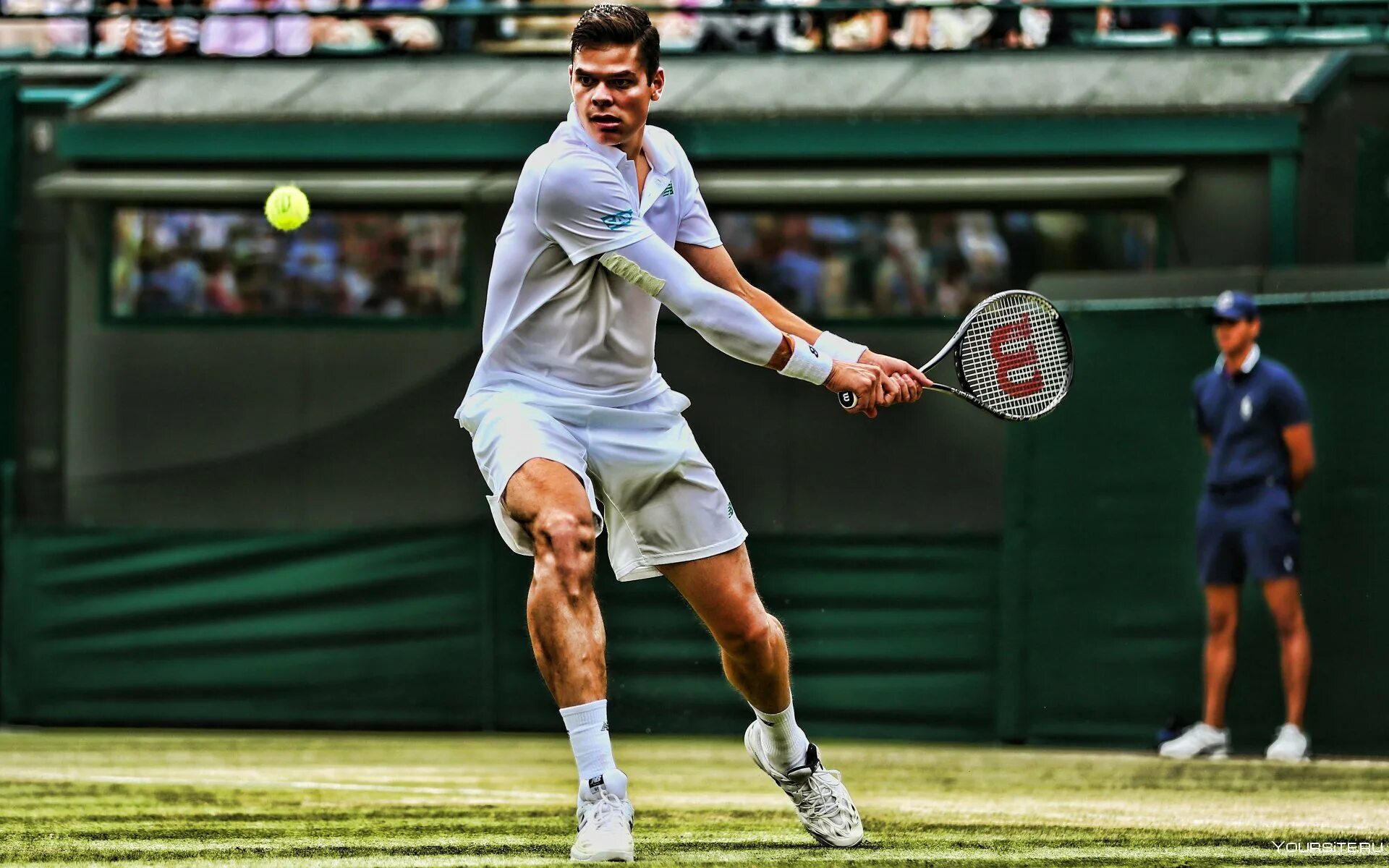 Raonic Tennis. Большой теннис мужчины. Теннис фото.