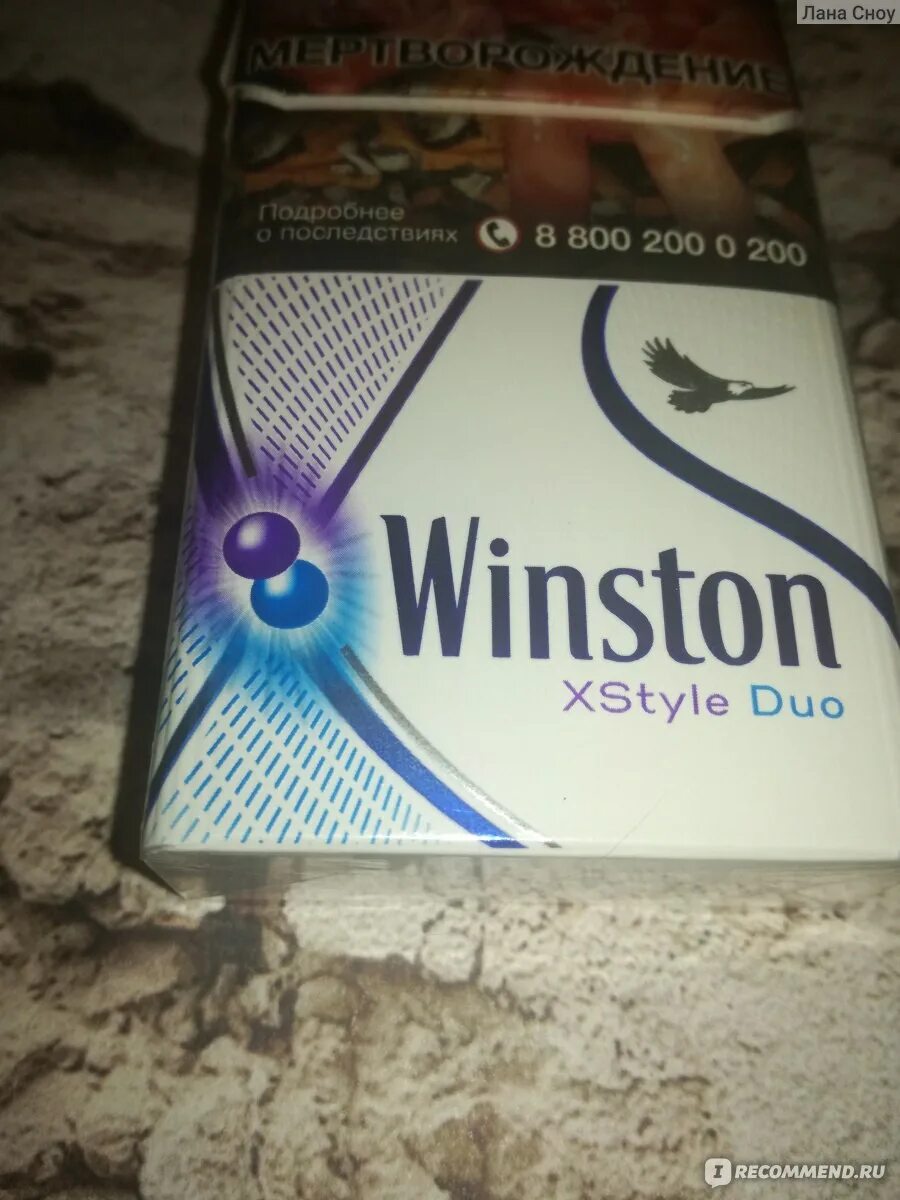 Винстон с двумя цена. Сигареты Winston xstyle Duo. Сигареты Винстон xstyle Dual с 2 кнопками. Winston xstyle 2 кнопки. Winston xstyle Duo с двумя кнопками.