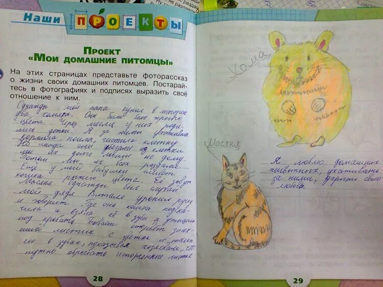 Сочинение о животных 2 класс. Сочинение о животных 2 класс