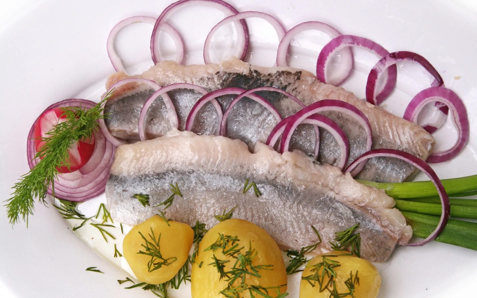 Мясо сельди