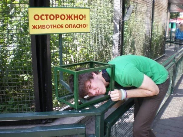 Осторожные звери. Осторожно звери. Осторожные звери. Животные с табличкой. Осторожные звери.
