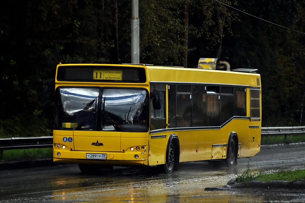 Маз 103. Маз 103. Маз 203 016 пермь. Маз 203. Маз пермь.