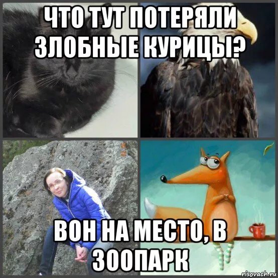 Что тут потеряла