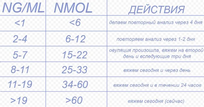 Большие половые губы норма. Уровень прогестерона у собак для вязки таблица. Таблица прогестерона у собак. Прогестерон вязка таблица собака. Вязка по прогестерону у собак таблица.