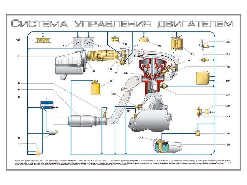 Система управления двигателем 2110 инжектор. Электронный блок управления инжекторного двигателя ВАЗ 2107. Система управления инжекторного двигателя 2110. Датчики системы управления двигателем ВАЗ 2107 инжектор. Датчики в двигателе автомобиля