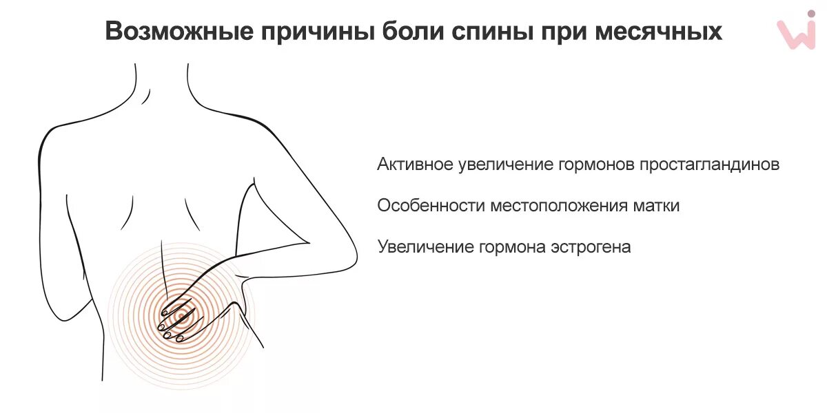 Почему при месячных болит сильно низ живота. Болит поясница перед месячными. Болит спина перед месячными. Почему болит поясница при месячных. Боль в пояснице перед месячными причины.