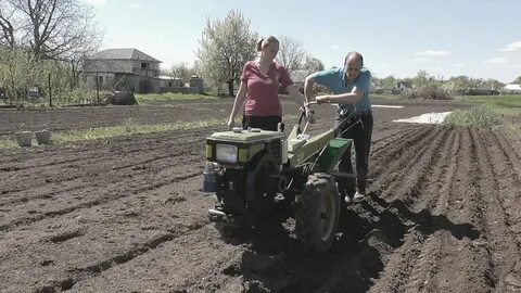 Видео посадка мотоблоком