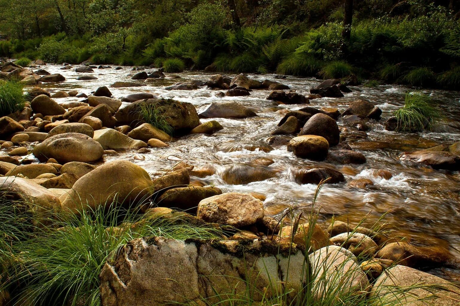 Stone river. Река Убин. Речка Каширка камни. Ручей Тирехтях. Горные реки Убин.