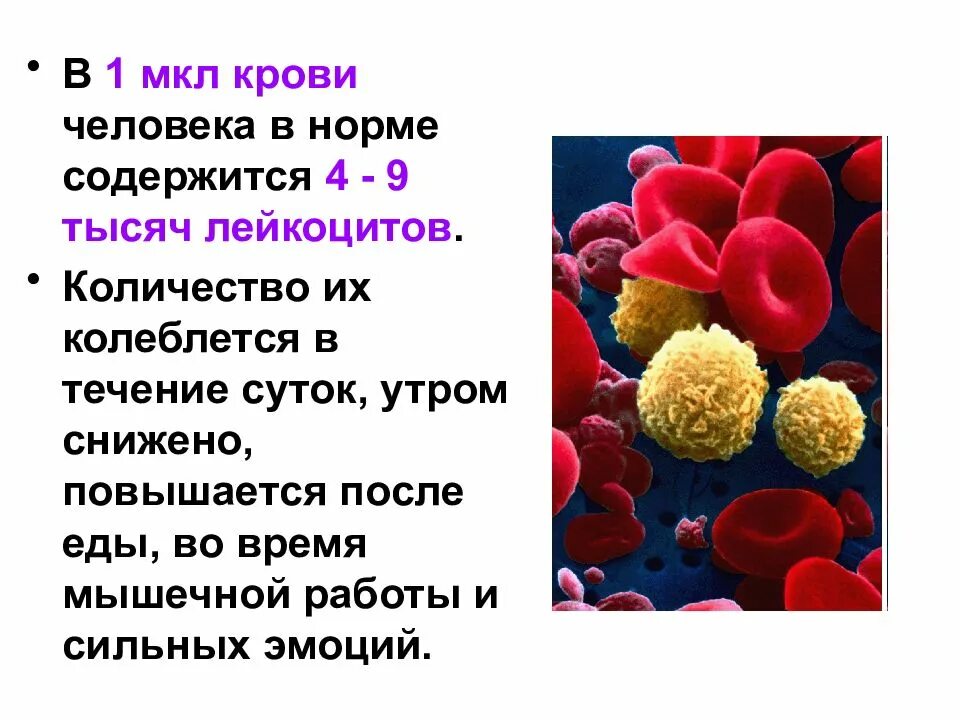 Кровь краткое содержание. Строение крови человека. Функции крови 8 класс биология. Анатомия состав крови функции крови. Функции составляющих крови человека.