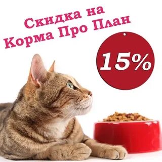 Корм со скидкой