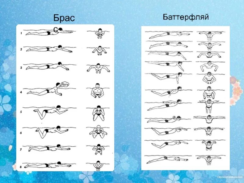 Плавание брассом и кролем. Стиль плавания брасс и Баттерфляй. Техники плавания брасс Кроль Баттерфляй. Кроль брасс Баттерфляй техника. Стиль плавания Баттерфляй техника.