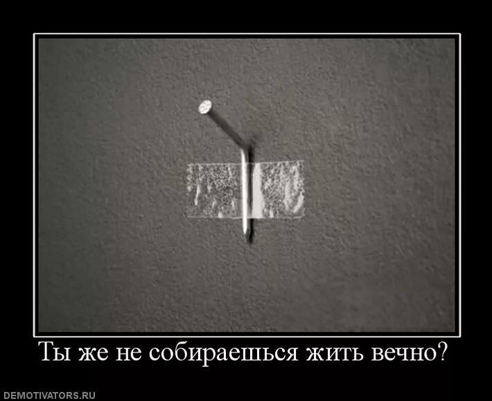 Забил демотиватор. Собрался жить вечно. Смешные гвозди. Вы что собрались жить вечно. Народа будут жить вечно