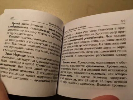 Справочник 6