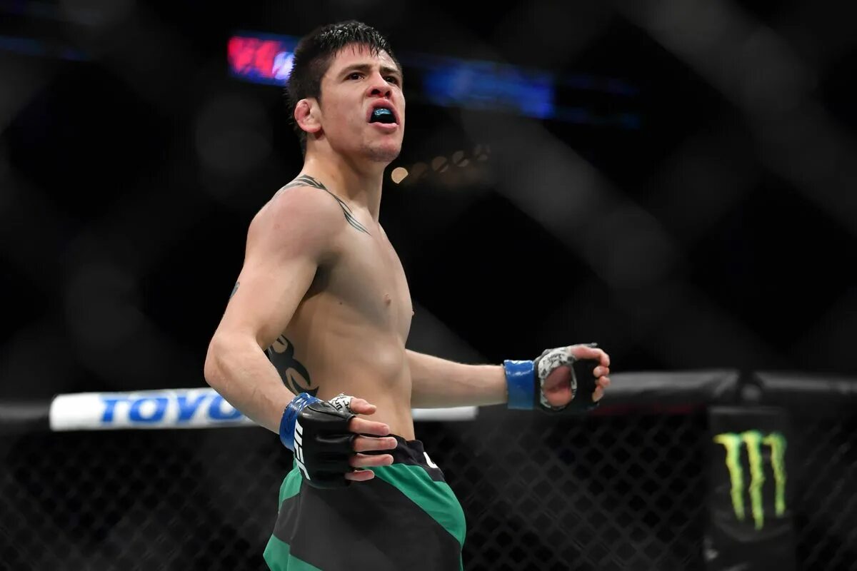 Морено чемпион юфс. Морено боец. Морено ufc. Брэндон морено brandon moreno. Морено ufc.