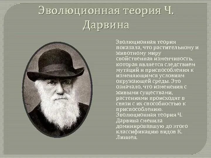 Первая теория дарвина. Эволюционная теория Чарльза Дарвина. Ч Дарвин теория эволюции. Эволюционная теория Чарльза Дарвина кратко. Эволюционная теория давривна.