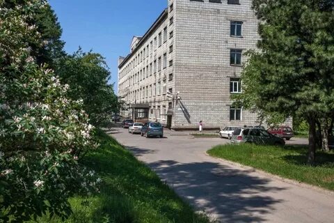 Институт геохимии