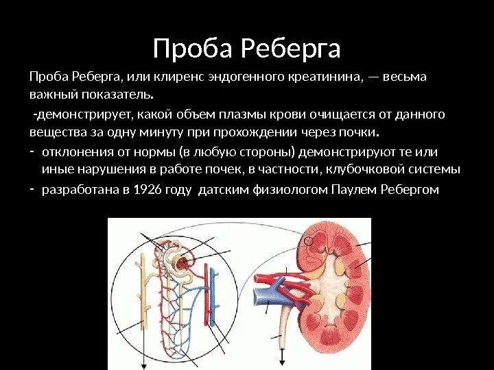 Методика исследования пробы Реберга. Проба Реберга нормы показателей. Проба Реберга - Тареева. Подготовка пациента к проведению пробы Реберга..