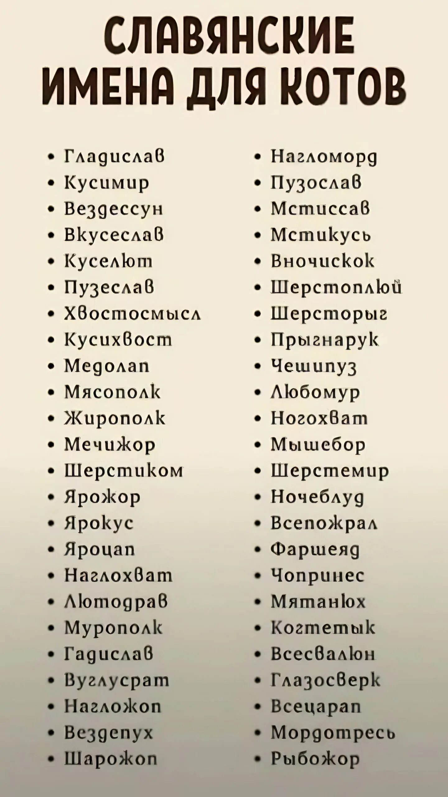 Веселые клички. Славянские имена для кота. Смешные клички. Прикольные псевдонимы. Смешные клички для котов.