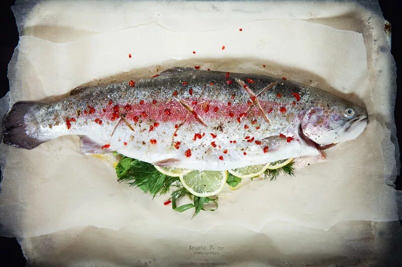 форель рыба форель. форель беломясая. речная форель белая. форель радужная речная. белая форель.