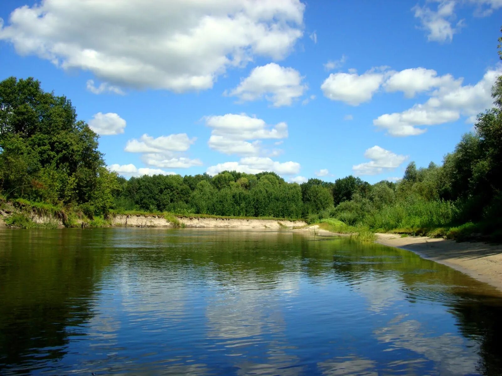 Сайт сейм курск. Река Сейм Карыж. Река Сейм Путивль. Река Сейм Курская область. Река Сейм в Курске пляж.