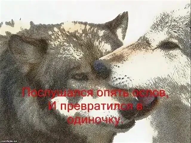Ну погоди волк с рыбой. Сломал волк. Волк одиночка с разбитым сердцем. Ну погоди 2 выпуск в городском парке. Сломал волк.