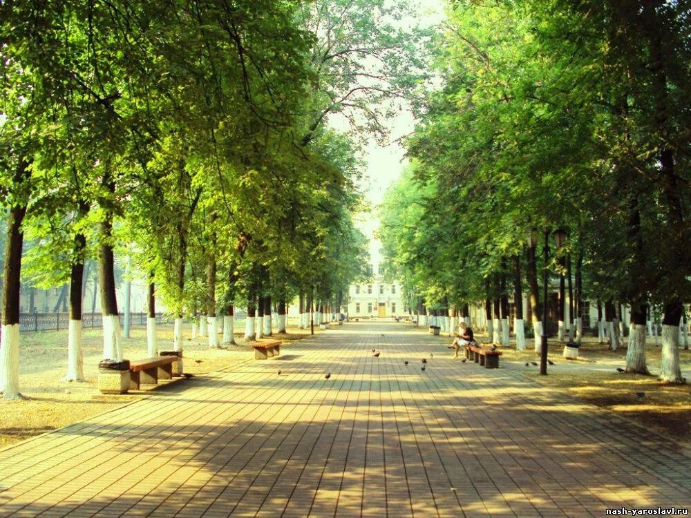 бульварное кольцо вид сверху. одесса приморский бульвар, 7. презентация парка. различие парков и скверов. аллея посреди улицы.