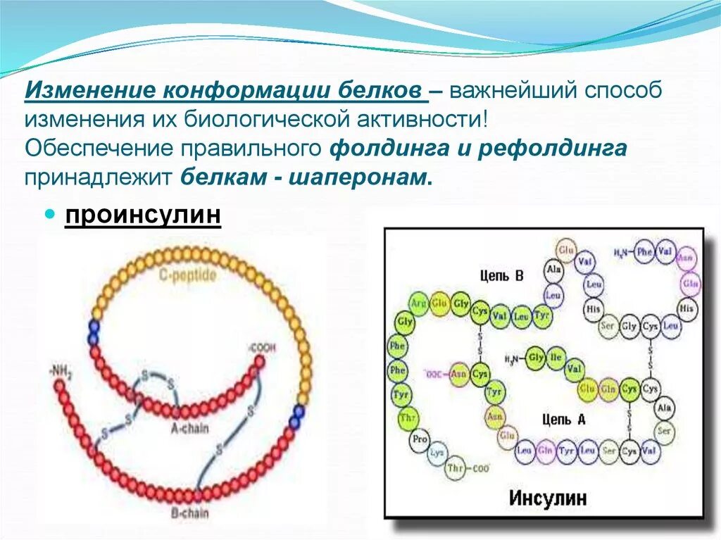 Изменение конформации белка