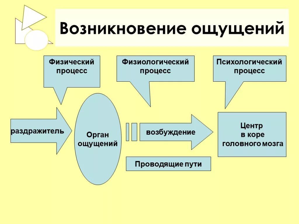 Познавательные процессы восприятие. Ощущение и восприятие. Психические процессы схема. Психический процесс ощущение.