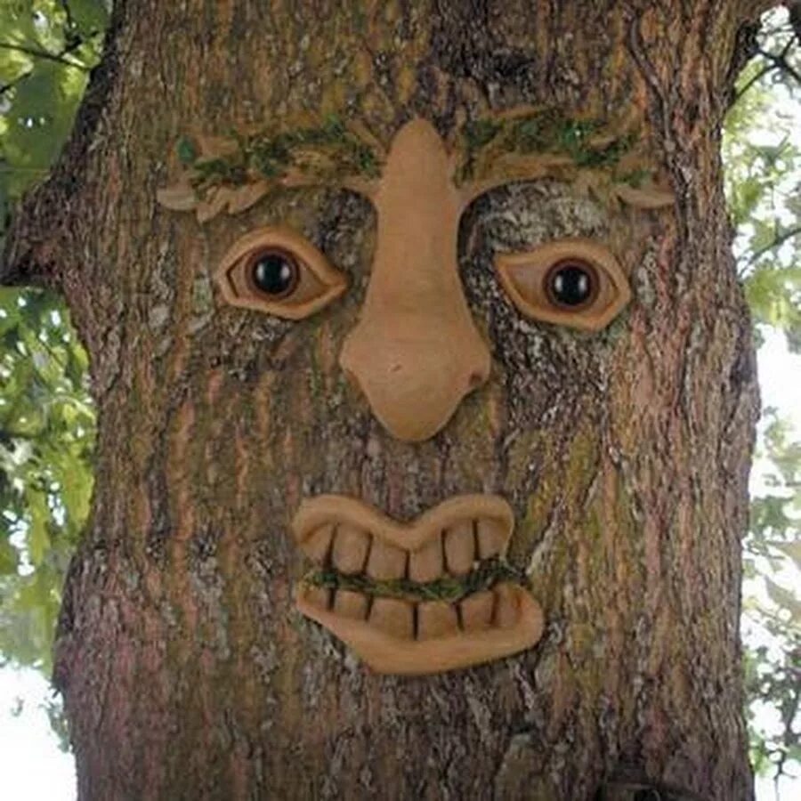 Картинки лицо дерево. Дерево с лицом. Страшное лицо из дерева. Лицо на дереве своими руками. Лицо в дупле дерева.